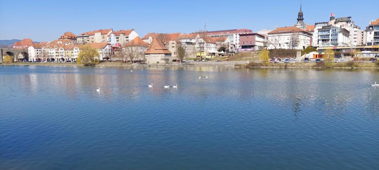 La Studio Maribor Exterior photo